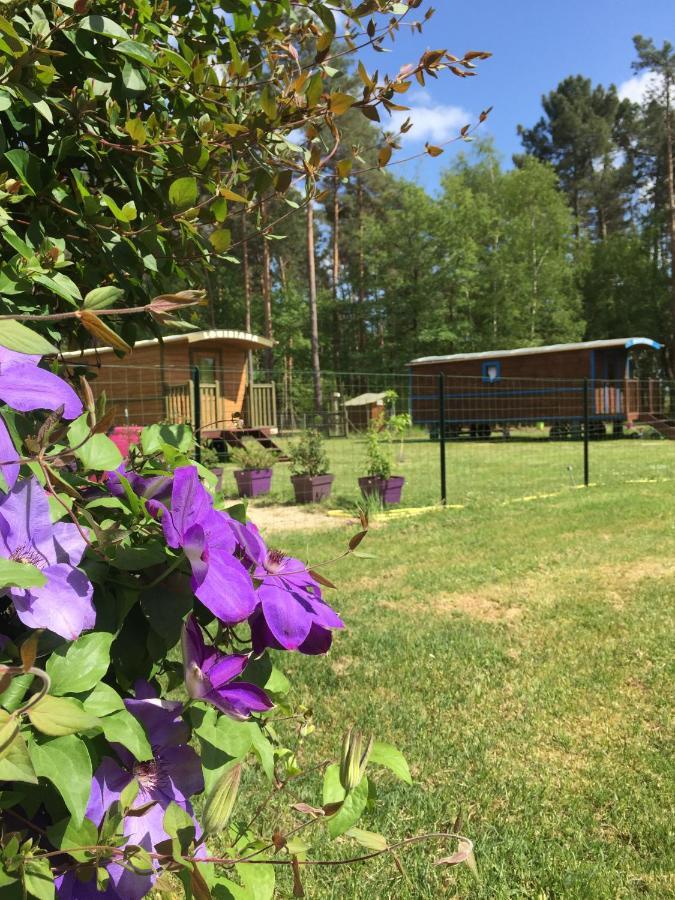 Rougeou Roulottes Du Chalet Des Pins מראה חיצוני תמונה